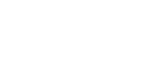 Lake Home Inspection Service